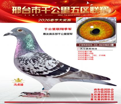 ǧ�������輾��