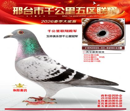 ǧ��������4��