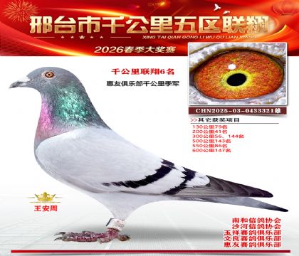 ǧ��������6��