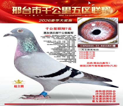 ǧ��������7��