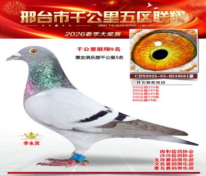 ǧ��������8��