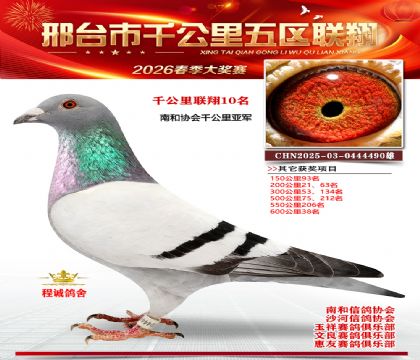 ǧ��������10��