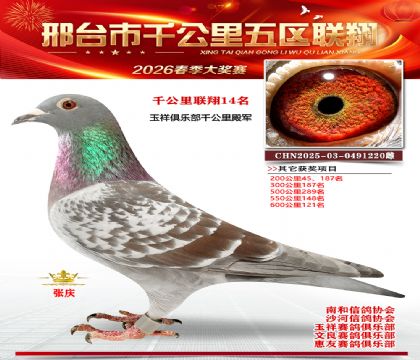 ǧ��������14��