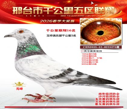 ǧ��������16��