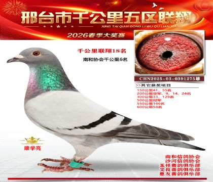 ǧ��������18��