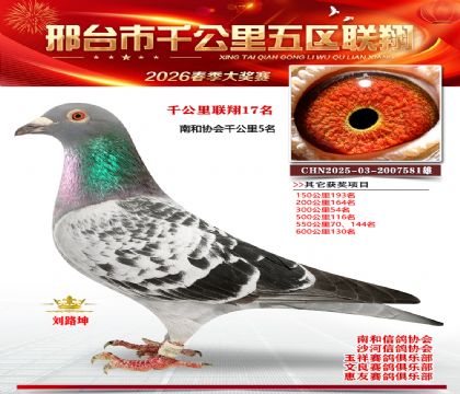 ǧ��������17��