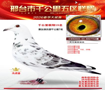 ǧ��������19��