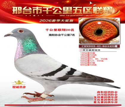 ǧ��������20��