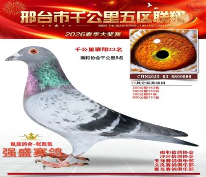 ǧ��������22��