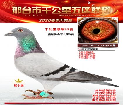 ǧ��������23��