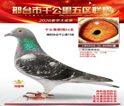 ǧ��������24��