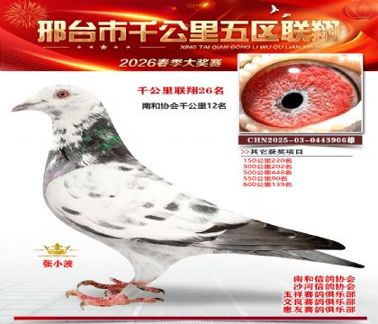 ǧ��������26��