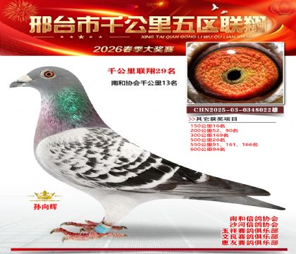 ǧ��������29��