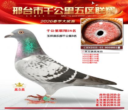 ǧ��������28��