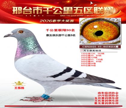 ǧ��������30��