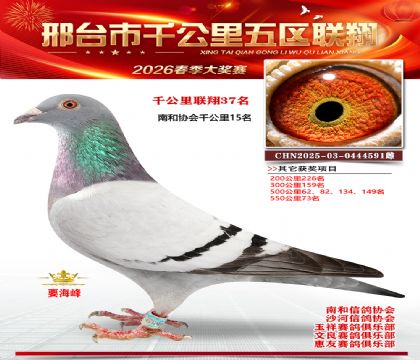 ǧ��������37��