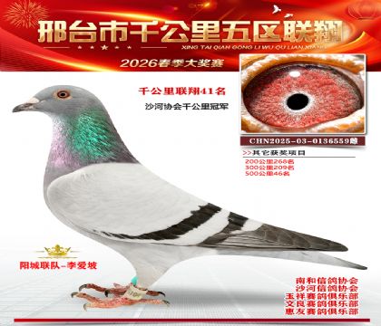 ǧ��������41��