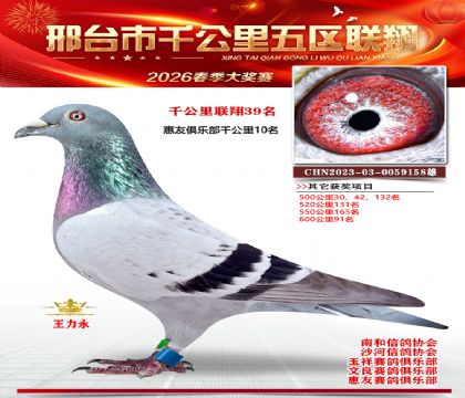 ǧ��������39��