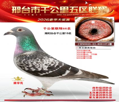 ǧ��������46��