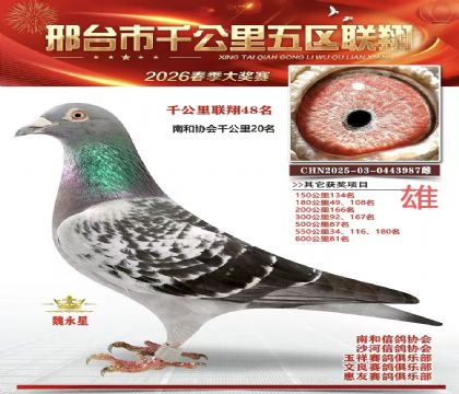 ǧ��������48��