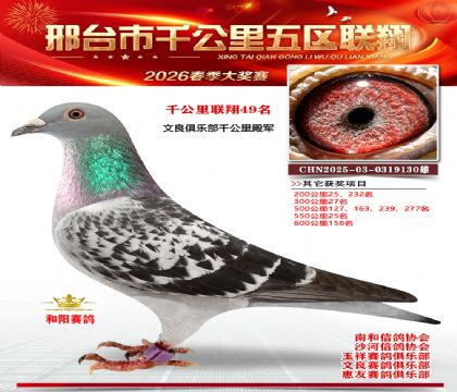 ǧ��������49��