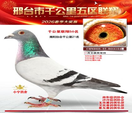 ǧ��������50��