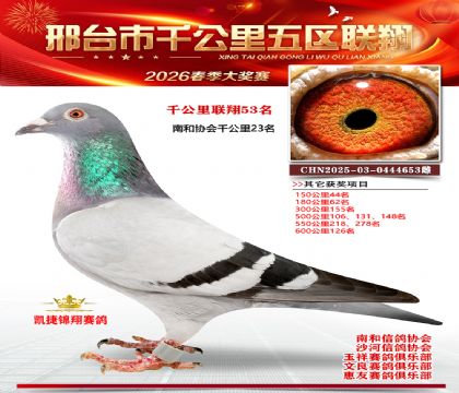 ǧ��������53��