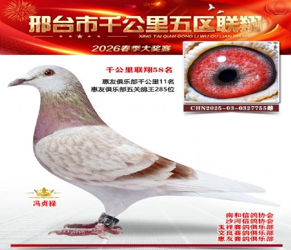 ǧ��������58��