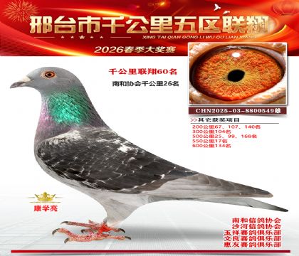 ǧ��������60��