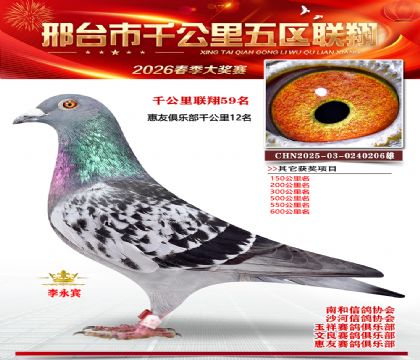 ǧ��������59��