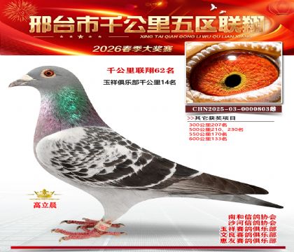 ǧ��������62��