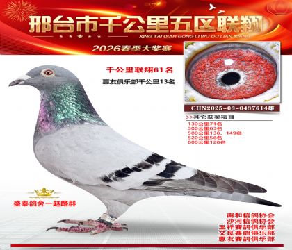 ǧ��������61��