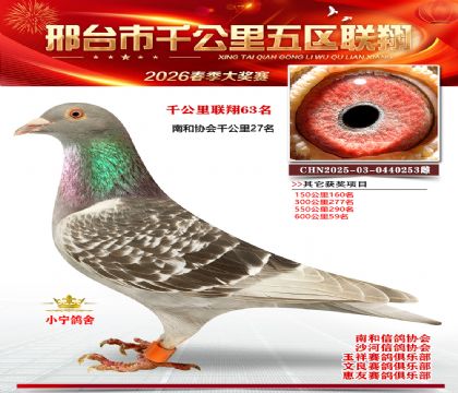 ǧ��������63��