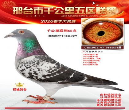 ǧ��������65��