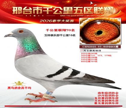 ǧ��������70��