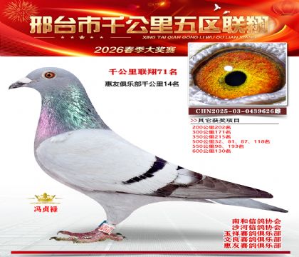 ǧ��������71��