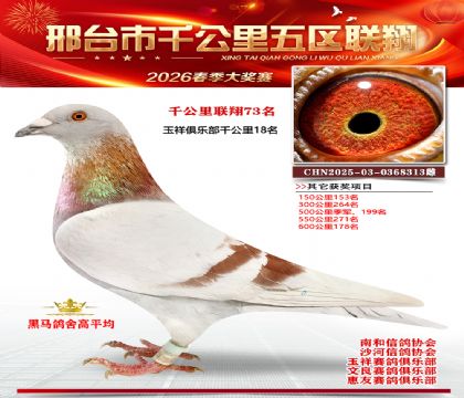 ǧ��������73��