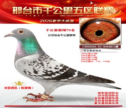 ǧ��������79��