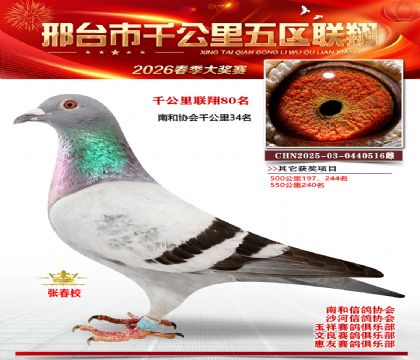 ǧ��������80��