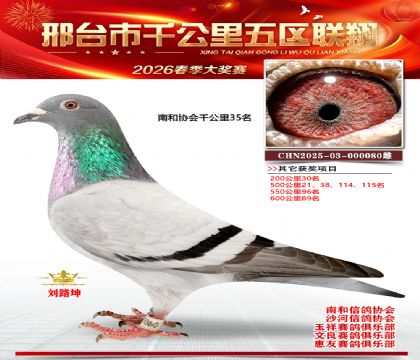 ǧ��������81��