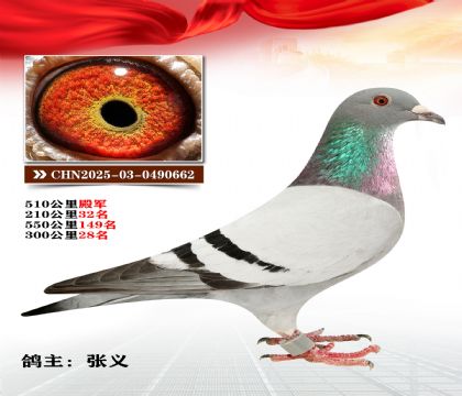 500����4��