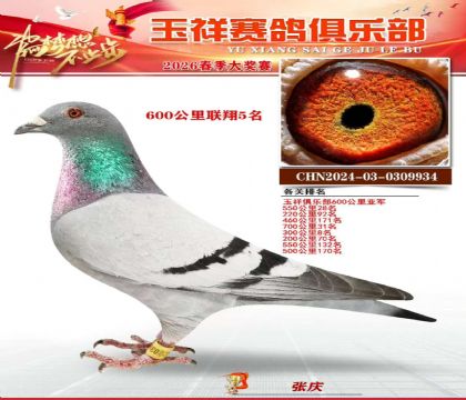 600��������5��