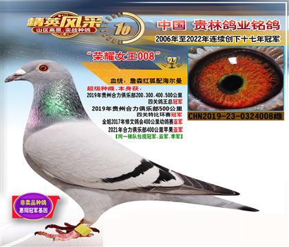 ��㣺500��������ھ�