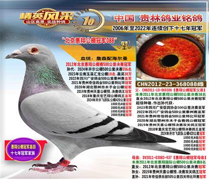 ��ĸ���������蹫��ھ�