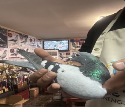 2.ͬ��ƽ���������Ĺ������340��