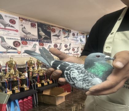 4.�����ָ�087