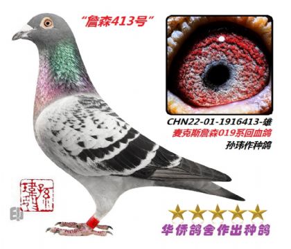 3��--ղɭϵ��Ѫ�ָ�22-01-1916413��