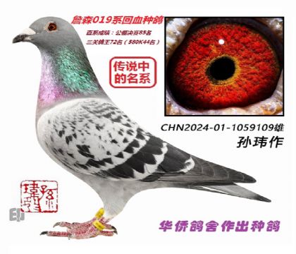 6��--ֱϵ�ɼ�:�������85��1059109��