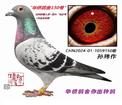 9��--����ʱ����ϵ�����ڡ�����š���ղɭϵ1059150��