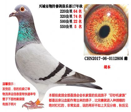 17����500����22����550����5����������